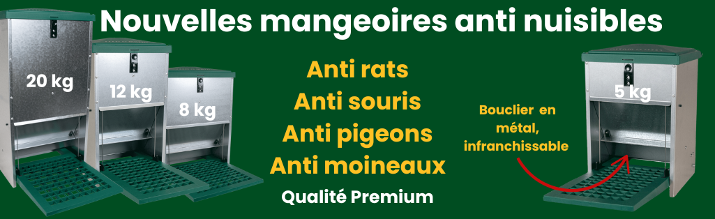 Mangeoires anti nuisibles pour volaille
